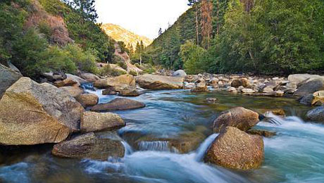 View of a river