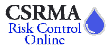 Risk Control Online